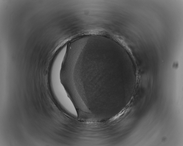 X0000098000154200804211140