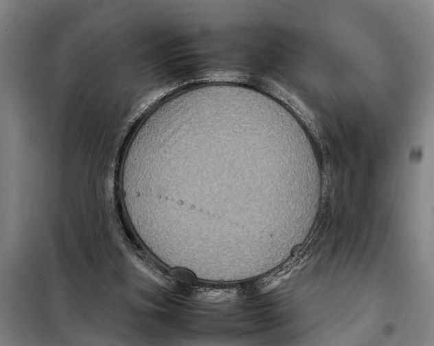 X0000098000155200804211140