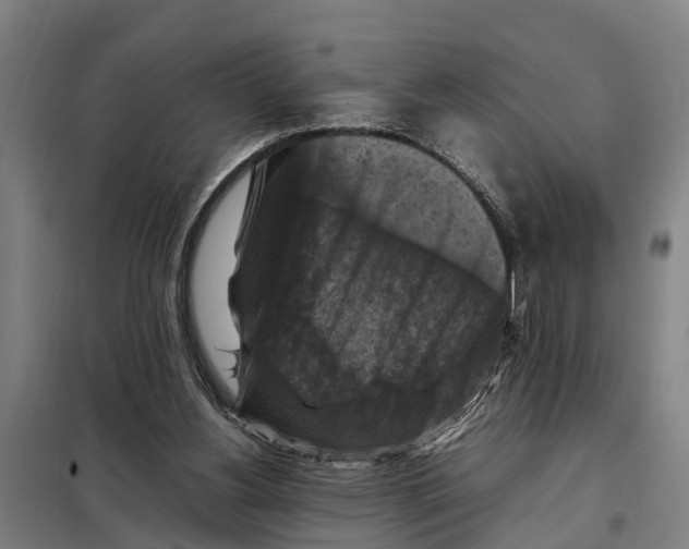 X0000098000156200804211140