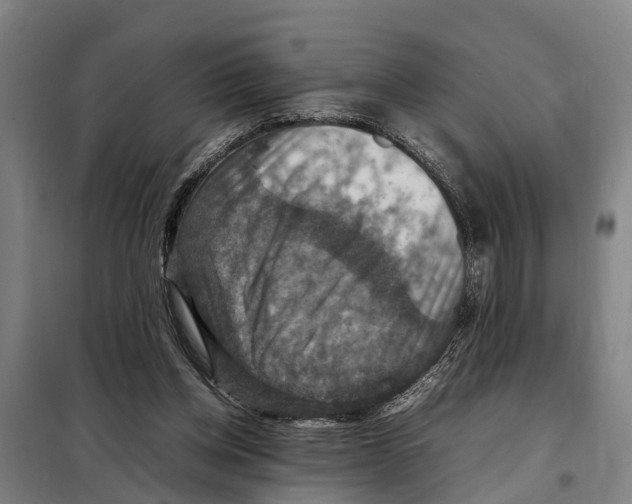 X0000098000158200804211140