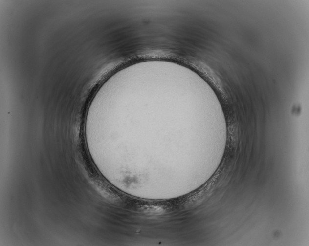 X0000098000159200804211140