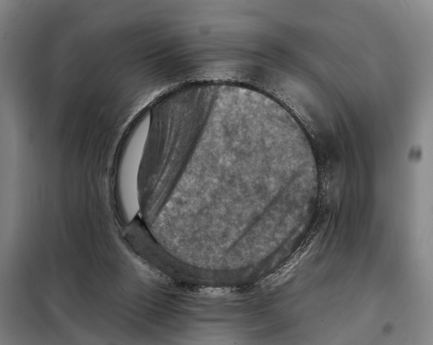 X0000098000160200804211140