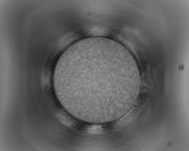 X0000098000162200804211140