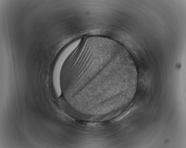 X0000098000164200804211140