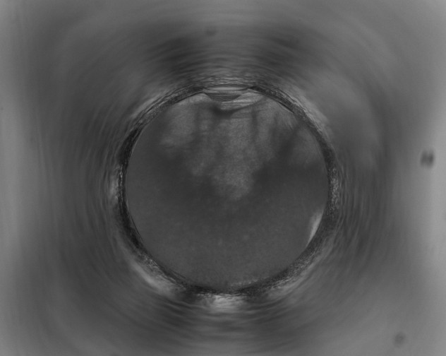 X0000098000165200804211141