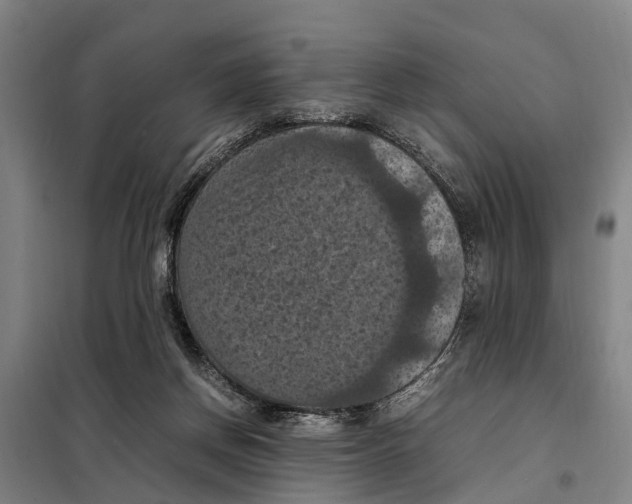 X0000098000166200804211141
