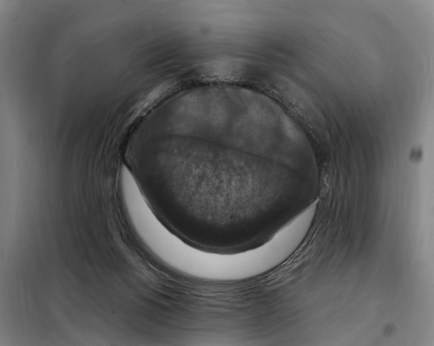 X0000098000168200804211141