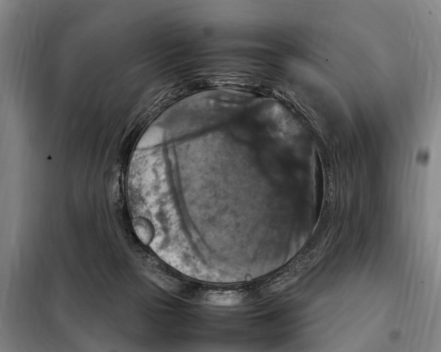 X0000098000169200804211141