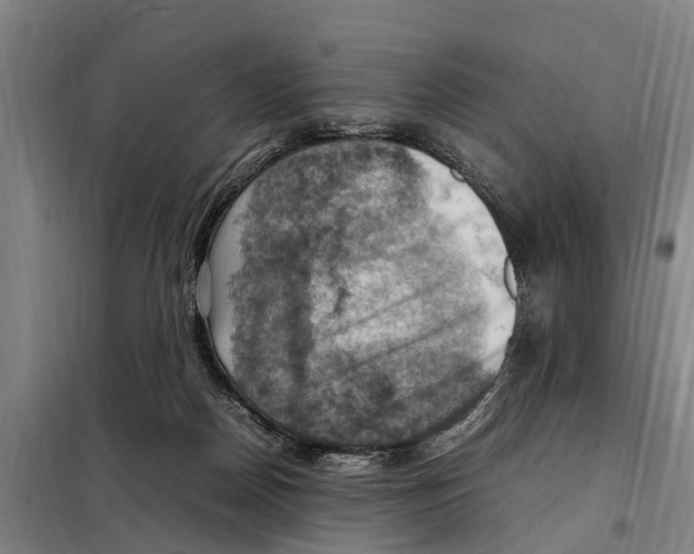 X0000098000170200804211141