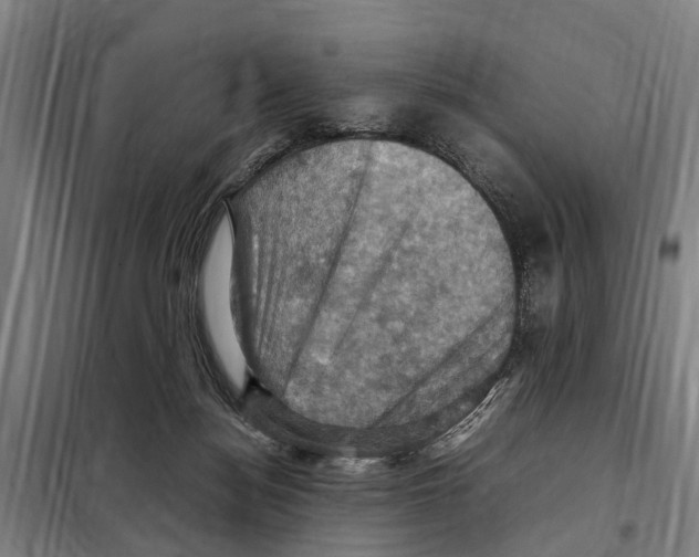 X0000098000172200804211141