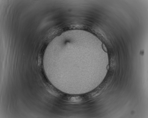 X0000098000173200804211141
