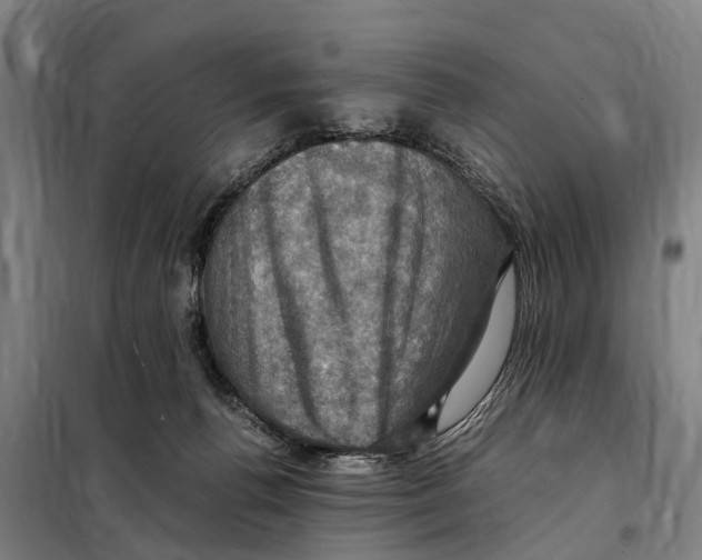 X0000098000176200804211141