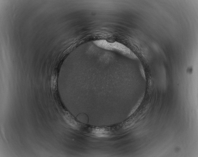 X0000098000177200804211141