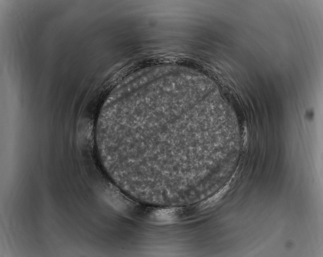 X0000098000178200804211141