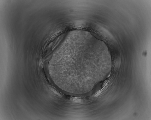 X0000098000180200804211141
