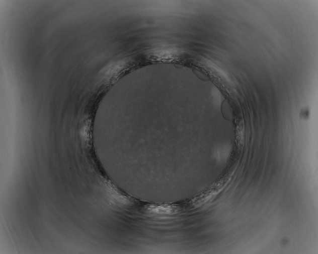 X0000098000181200804211141