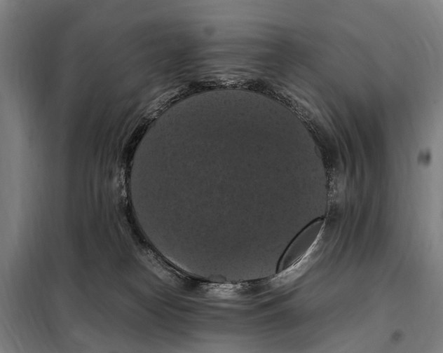 X0000098000182200804211141