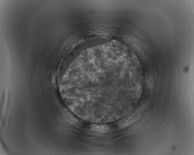 X0000098000185200804211141