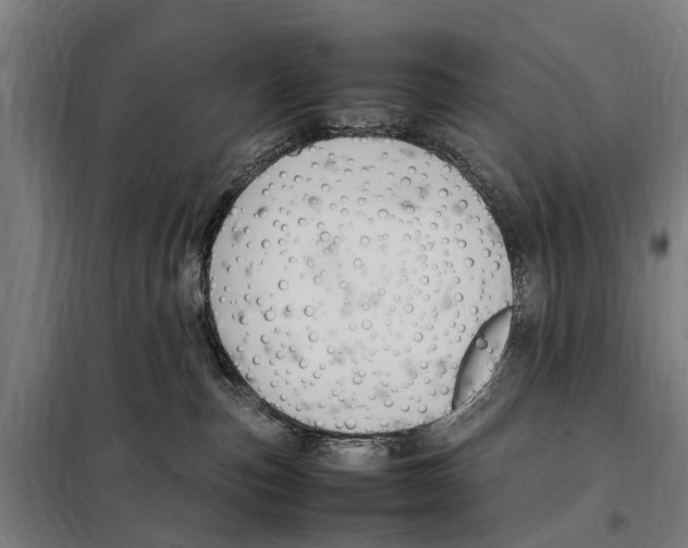 X0000098000187200804211141