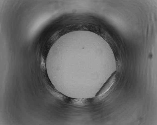 X0000098000191200804211141