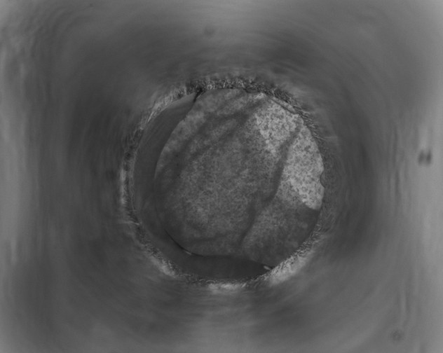 X0000098000192200804211141