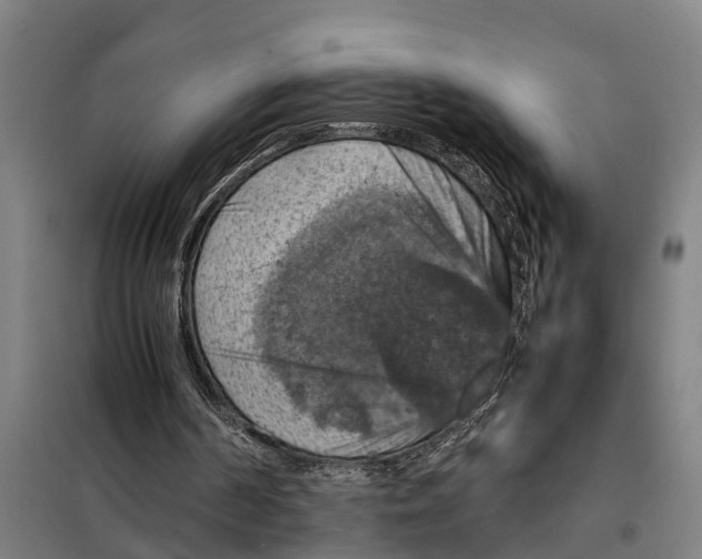 X0000098000194200804211140