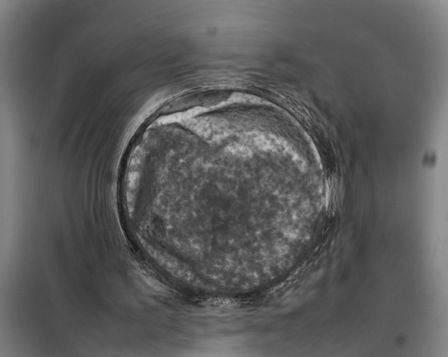 X0000098000195200804211140