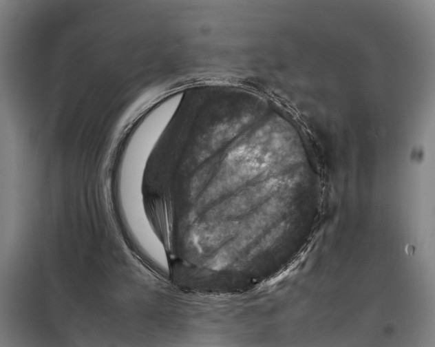 X0000098000197200804211140