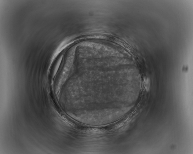 X0000098000198200804211140