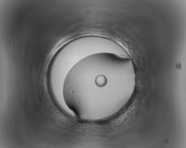X0000098000199200804211140