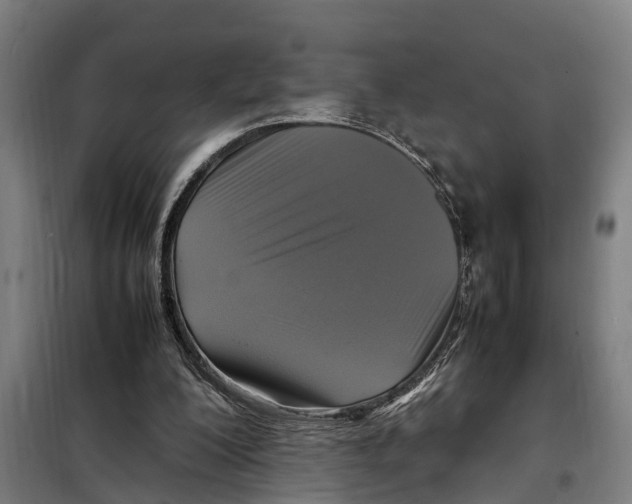 X0000098000200200804211140
