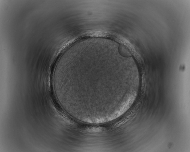 X0000098000202200804211140