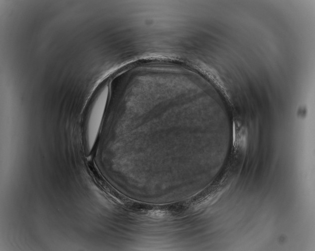 X0000098000204200804211140