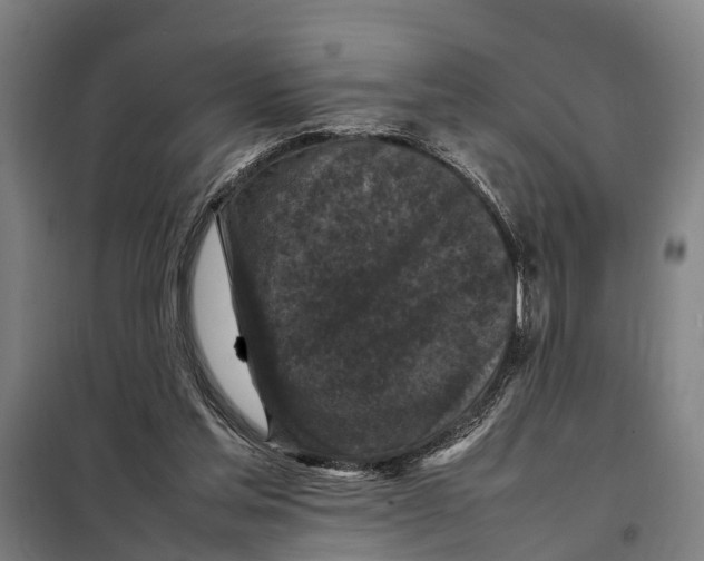 X0000098000205200804211140