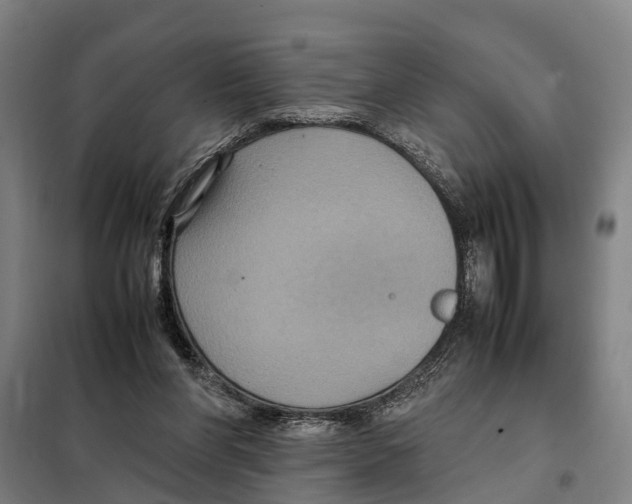 X0000098000206200804211140