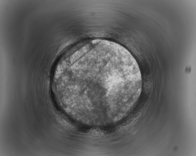 X0000098000207200804211140