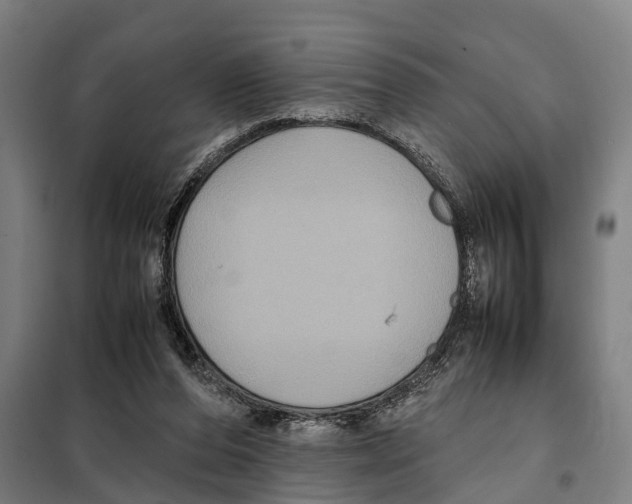 X0000098000208200804211140