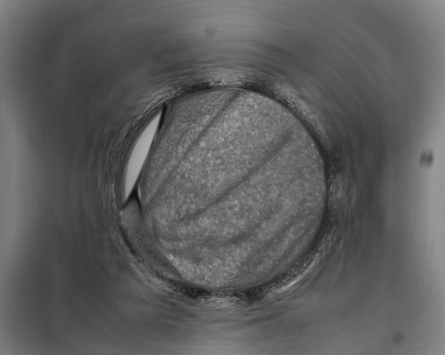 X0000098000209200804211140