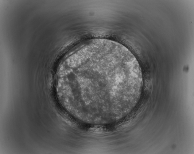 X0000098000211200804211140