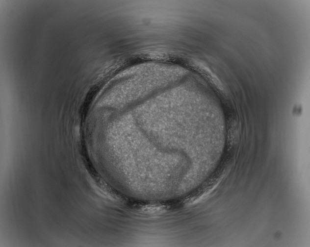 X0000098000213200804211140