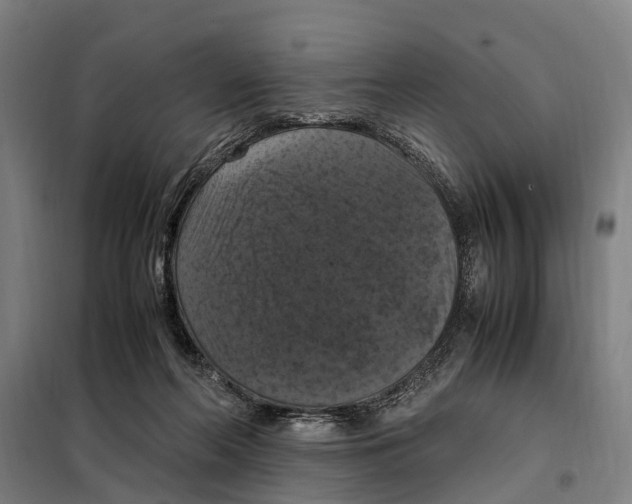 X0000098000214200804211140