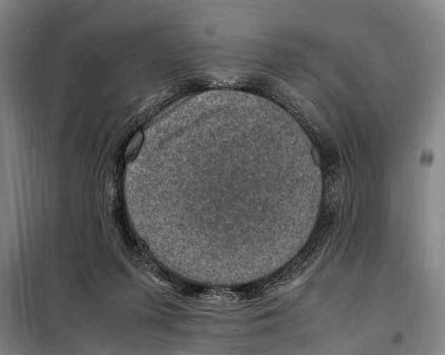 X0000098000215200804211140
