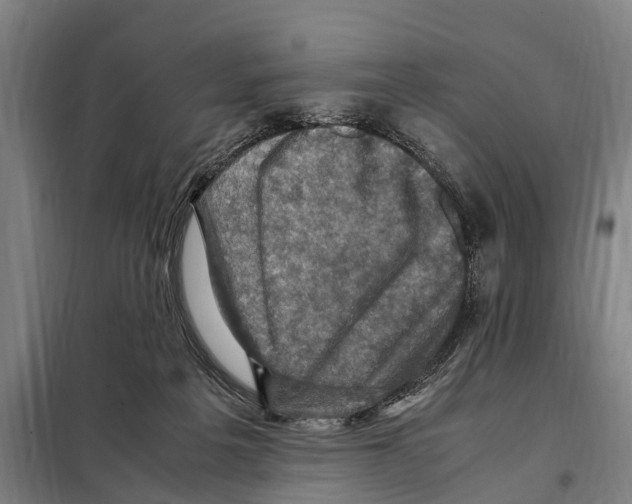 X0000098000217200804211140
