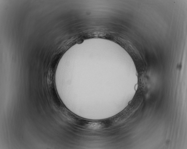 X0000098000218200804211140