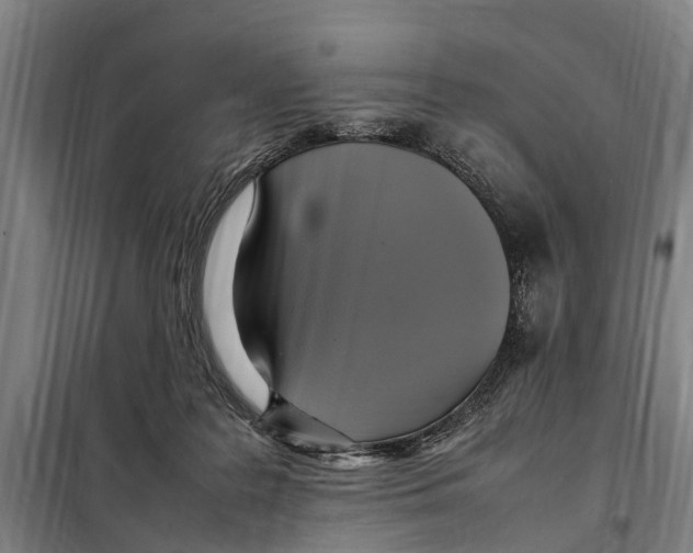 X0000098000219200804211140