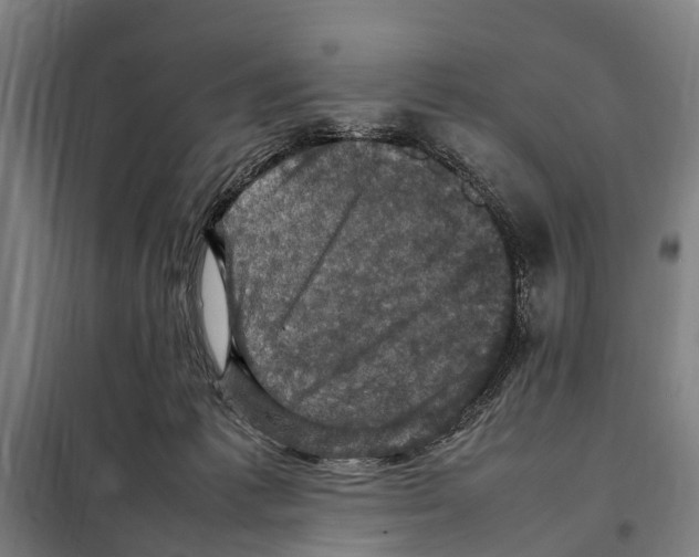 X0000098000221200804211140