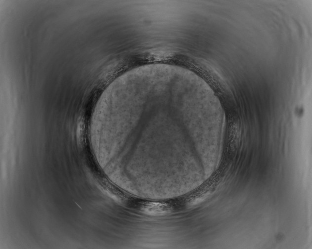 X0000098000222200804211140