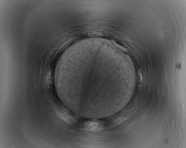 X0000098000224200804211140