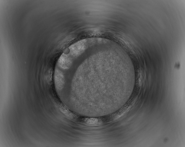 X0000098000230200804211139