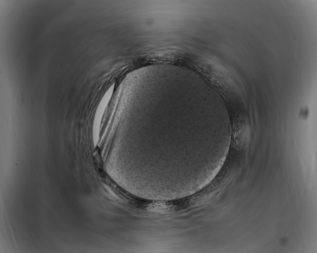 X0000098000231200804211139